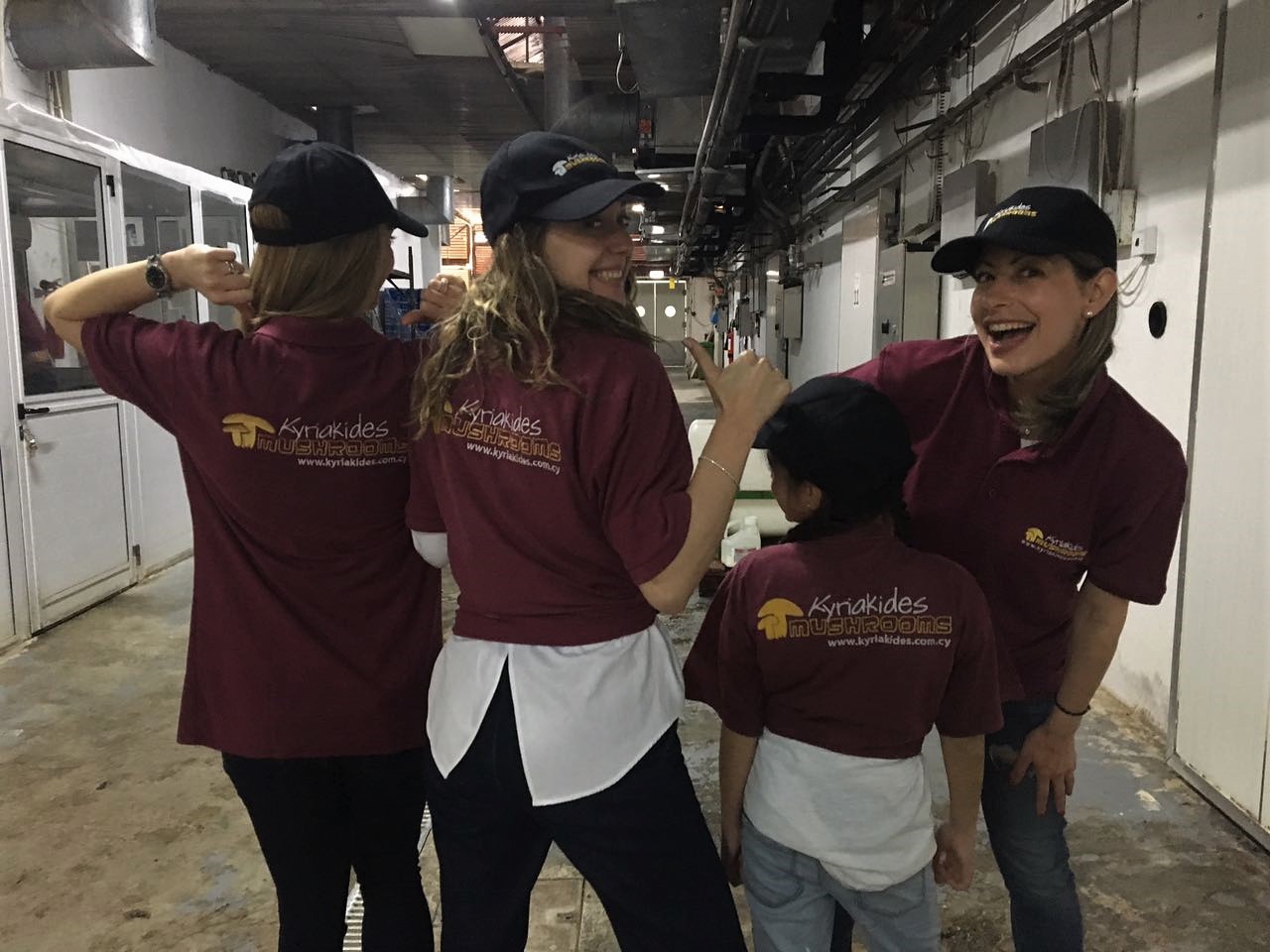 ‘Magic Mushrooms’ – Wednesday Morning Coffee Blog